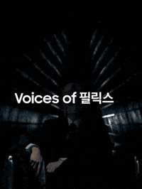 Stray Kids Skz GIF