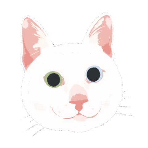 Cat What Sticker