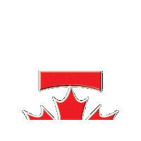 Tint Sticker by STC FILMS