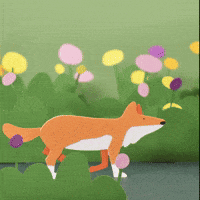 Spring Break Fox GIF by stopmotreats