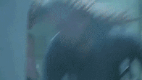 ianthomaswilson giphygifmaker shooting guns firefly GIF