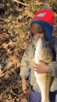 Fish Fishing GIF