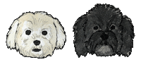 pw sivanayla Sticker