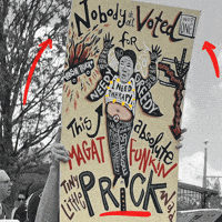 Organize Human Rights GIF by Creative Courage