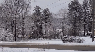Winter Storm Leaves Northeast Connecticut Coated in Snow