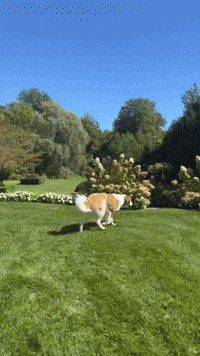 926Greenwood GIF by Reserve it