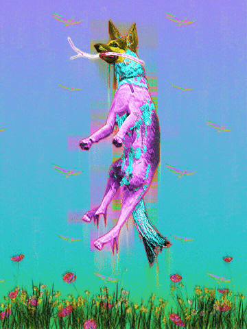 Good Boy Glitch GIF by davidvnun