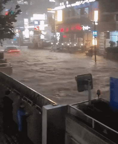 sosososo3989 giphyupload GIF