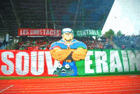 Ultras Kabylie GIF