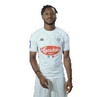 Football Soccer Sticker by ANGERS SCO