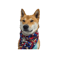 Mickey Mouse Apprentice Sticker by Geekster Pets