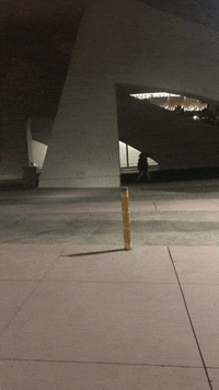 San Diego Twitch GIF