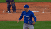 Blue Jays Baseball GIF by Toronto Blue Jays