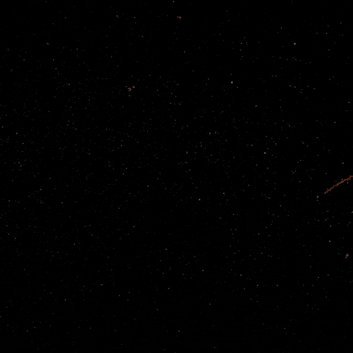 War Unity GIF by INTO ACTION