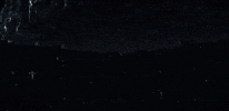 Star Trek Picard GIF by Paramount+