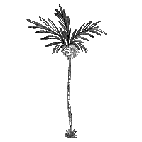 palms artemisa Sticker by Luisa Eloisa