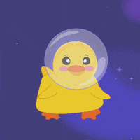 Space Duck GIF by MeetDuckey