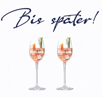 Sparkling Aperol Spritz GIF by LACASCARA official
