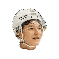 Hockey Ohl Sticker by OttersHockey