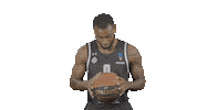 Partizan Sticker by sportmts