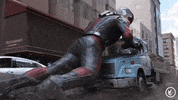 wasp lol GIF by Regal Cinemas