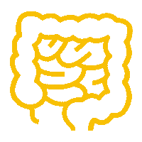 Gut Health Intestines Sticker by Nuliv Science