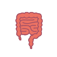 Organs Intestin Sticker by Телеканал Пятница!