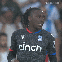 Premier League Hand GIF by Crystal Palace Football Club
