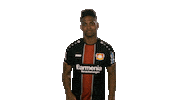 bayer leverkusen hello Sticker by Bundesliga