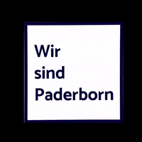 CandyCard paderborn sc paderborn candycard candy card GIF