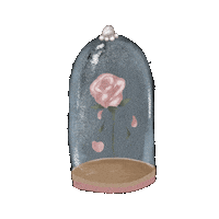 cordemim_ flower amor rose romantic Sticker