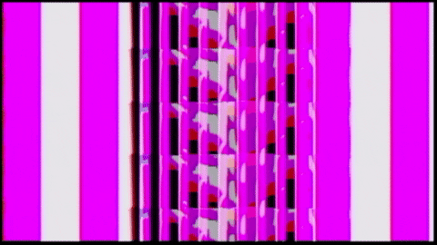 Video Art GIF by cskonopka