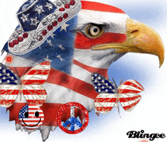 Picture Merica GIF