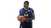 Basketball Sticker by Ibaeta Basket