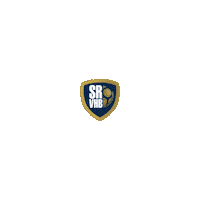 Srvhb Sticker by Saint-Raphaël Var Handball