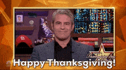 Macys Parade Happy Thanksgiving GIF by The 95th Macy’s Thanksgiving Day Parade