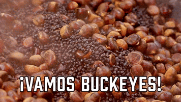 ¡Vamos Buckeyes!