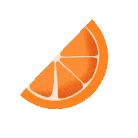 Orange Slice Sticker