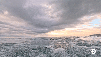 Incredible Breach!