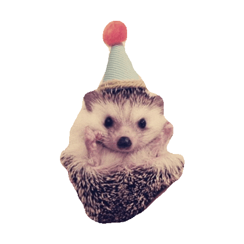 Happy Birthday Sticker by imoji