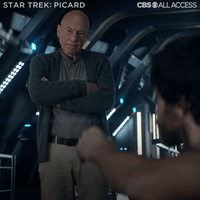 Star Trek: Picard - Just A Guess