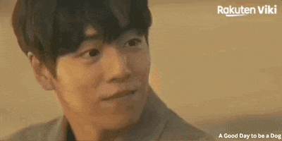 Cha Eun Woo Kdrama Couple GIF by Viki