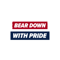 Bear Down Uarizona Sticker by The University of Arizona
