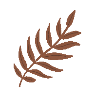 Leaves No Sticker