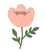 Flower No Sticker