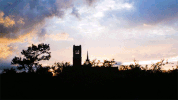 uf century tower GIF by University of Florida