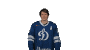 Hockey Facepalm Sticker by Dynamo_ru