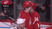 happy ice hockey GIF by NHL