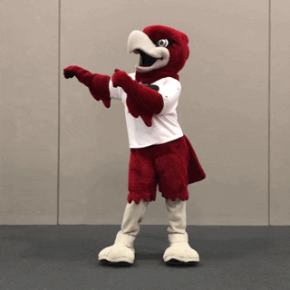RiponCollege dance bird rally floss GIF