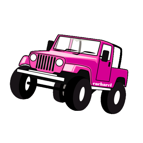 car pink Sticker